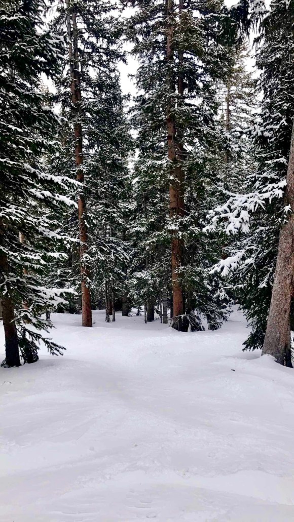 FullSizeRender.jpg-3